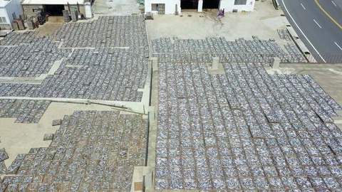 Just capture using the sun to go ashore and dried seafood in Taiwan, Penghu Stock-Footage 93435163