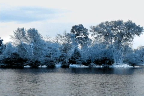 Just a Cold Winter Day Stock Footage 372462