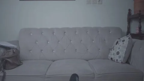 Just a couch - still camera 動画素材 245141813