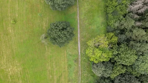 Just cut lawn  Stock Footage 207787211