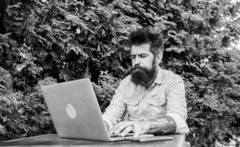Just freelancing. Freelance computer programmer enjoying coffee and free wifi Stock Photos