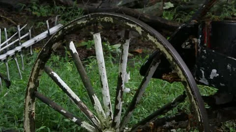 Just married 5 Close up 動画素材 10560206