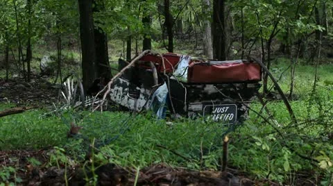 Just married 6 動画素材 10560192