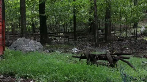 Just married 7 動画素材 10560172