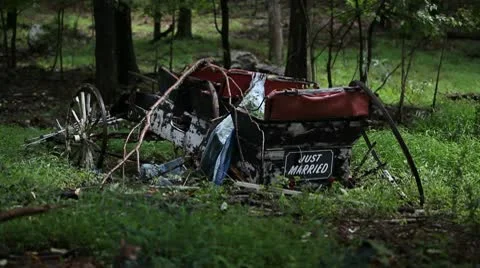 Just married 8 動画素材 10560138