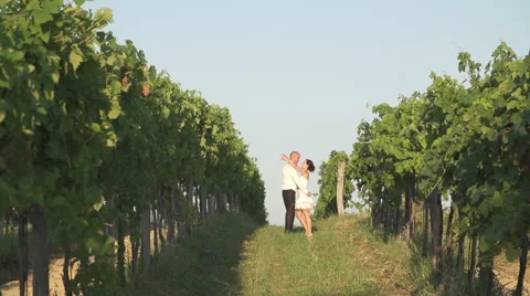 Just Married Kiss Stock Footage 49495527