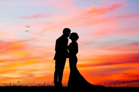 Just Married silhouette at sunset Stock Illustration