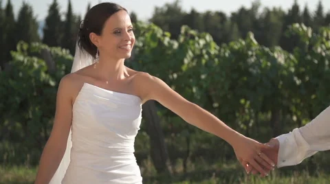 Just Married Taking A Walk Through Vineyard Stock Footage 49498355