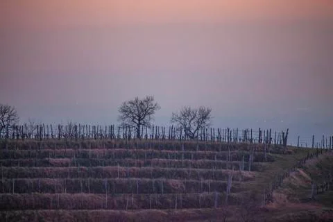 Just before the night in Brda Stock Photos