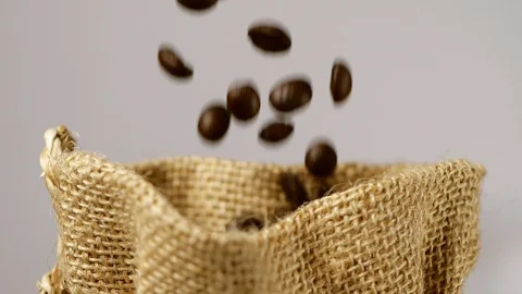 Just roasted coffee beans are poured down to the sack bag slow motion Stock Footage 113594796