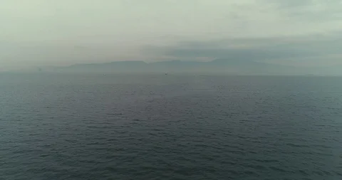 Just sea Vídeos de archivo 125568355