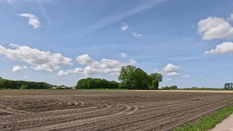 Just sown field Stock Footage 242859981