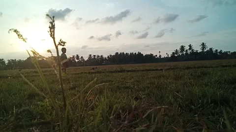 Just Before Sunset come 2 Видео 211356262