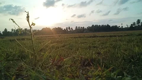 Just Before Sunset come 3 Видео 211356151