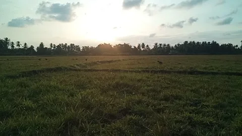 Just Before Sunset Come Видео 211356330