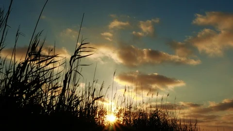 Just a sunset Stock Footage 96264647
