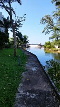 Just walking Stock Photos