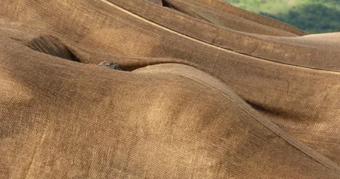 Jute bag texture Stock Footage 293042498