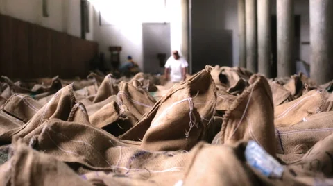 Jute sacks of coffee Stock Footage 37946220
