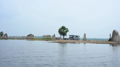 Jute stalks float in floodwater at Bortir Bil during traditional retting. Stock Footage 342226274