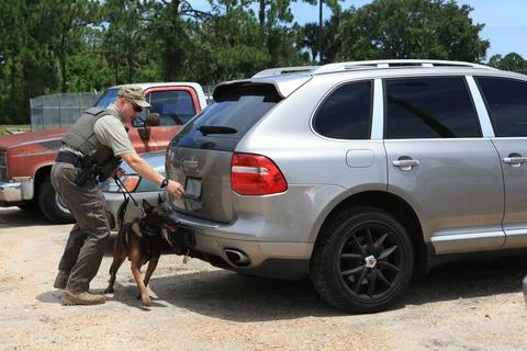 K-9 Handler Officer John McGee watches as K-9 Spike works his way through a.. Stock Photos
