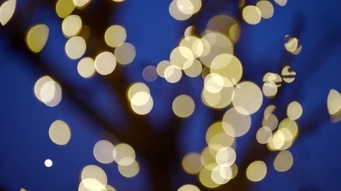 K Blinking Christmas Tree Lights Twinkling.  Stock Footage 126657296