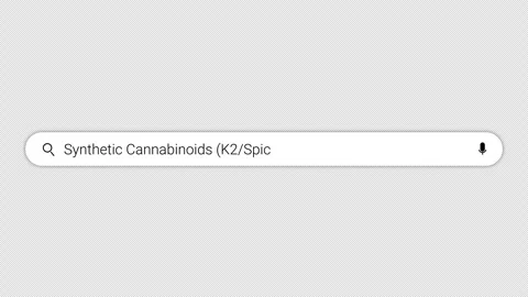 K2 or spice text typing in search balk animation on white screen in 4k Stock Footage 292538444