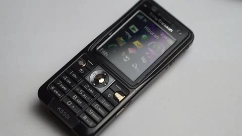 K530 動画素材 221562162