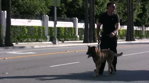 K9 unit checking for bombs before President Obama's arrival Stock Footage 5298933