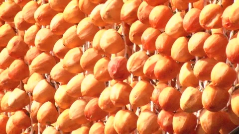 K_shu Dried Persimmons Stock Footage 332469753