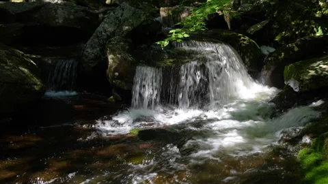 Kaaterskill Falls (Cascade) Vídeo Stock 342586941