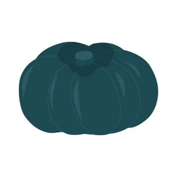 Kabocha squash isolated on white background Stock Illustration