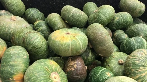 Kabucha Pumpkin Video stock 80268526