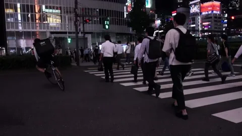 Kabukicho Crossing Stock Footage 160814230