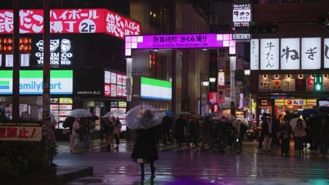 Kabukicho Sakura Dori St at Night in the Rain, Tokyo Redlight District, Slow Stock Footage 337869486