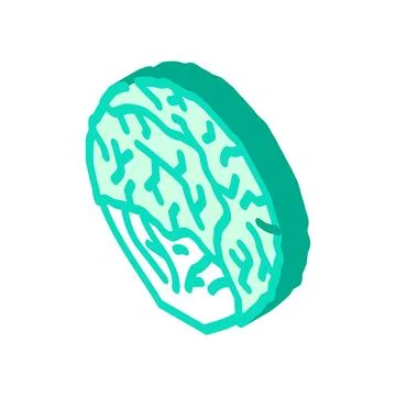 Kachan salad isometric icon vector illustration Ilustración de archivo