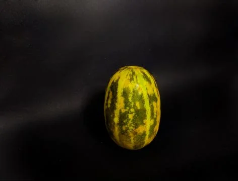 Kachri , A wild variety of cucumbers. Fresh kachri resembles a brown yellow s Stock Photos