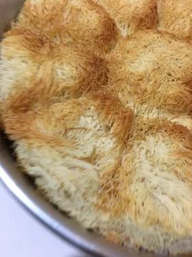 Kadayif dessert background unit isolate 스톡 사진