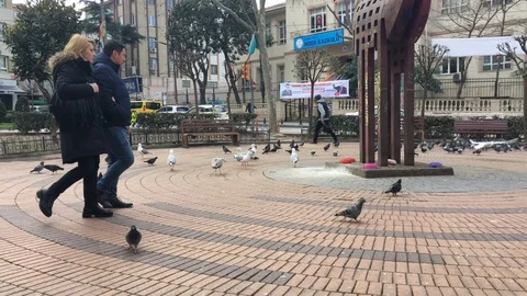 Kadıköy streets Stock Footage 116623224