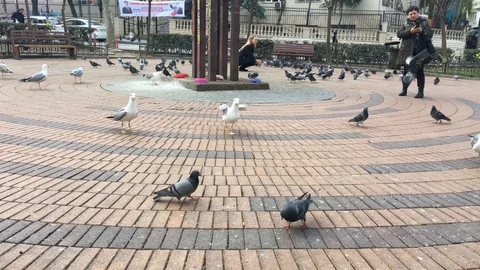 Kadıköy streets Stock Footage 116623318