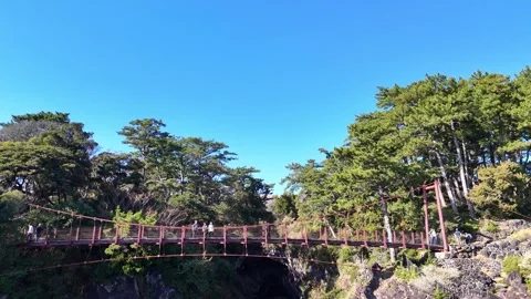 Kadowaki Suspension Bridge Side View with Tourists Aerial Stock Footage 329060667
