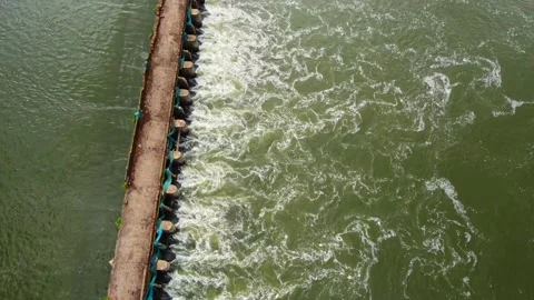 Kadwad Karwar Stock Footage 269162676