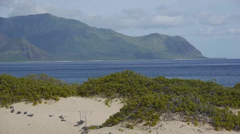 Kaena Point west side oahu view Stock Footage 47577093