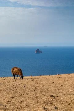 Kaf Abed Bizerte Stock Photos
