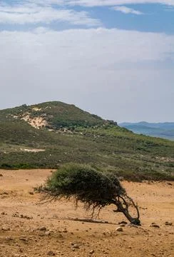Kaf Abed Bizerte Stock Photos