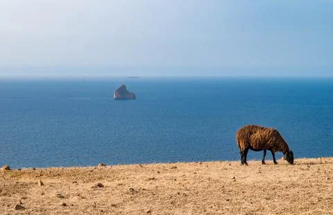 Kaf Abed Bizerte Stock Photos
