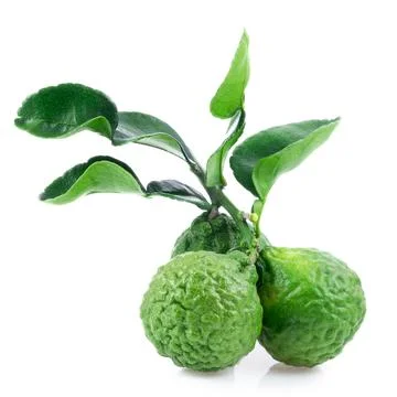 Kaffir lime close up on white background. Stock Photos