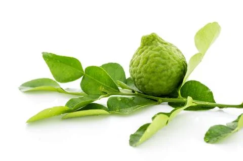 Kaffir lime fresh leaf Stock Photos