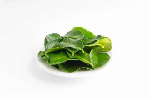 Kaffir lime leaf (Daun limau purut) isolated on white background 库存照片
