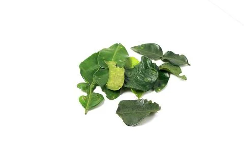 Kaffir lime leaf on white background, good for article or commercial Stock Photos